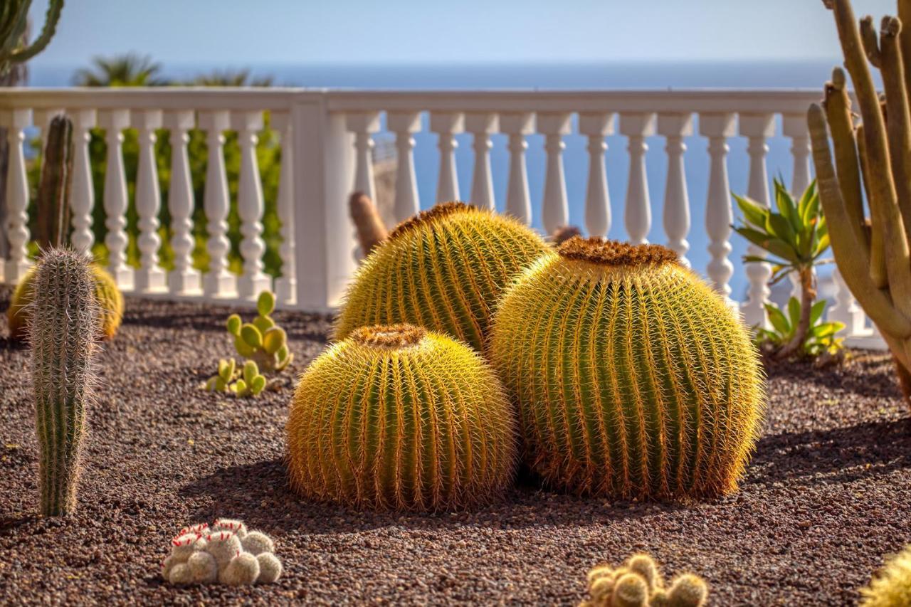 Stunning Villa With Breathtaking Ocean View Mogán Extérieur photo